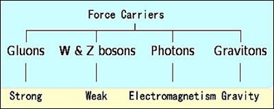 Force Carriers