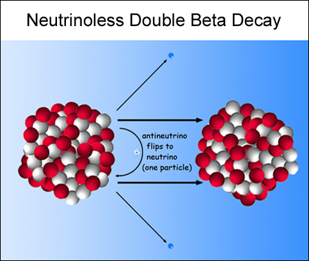 Neutrinoless Double Beta Decay